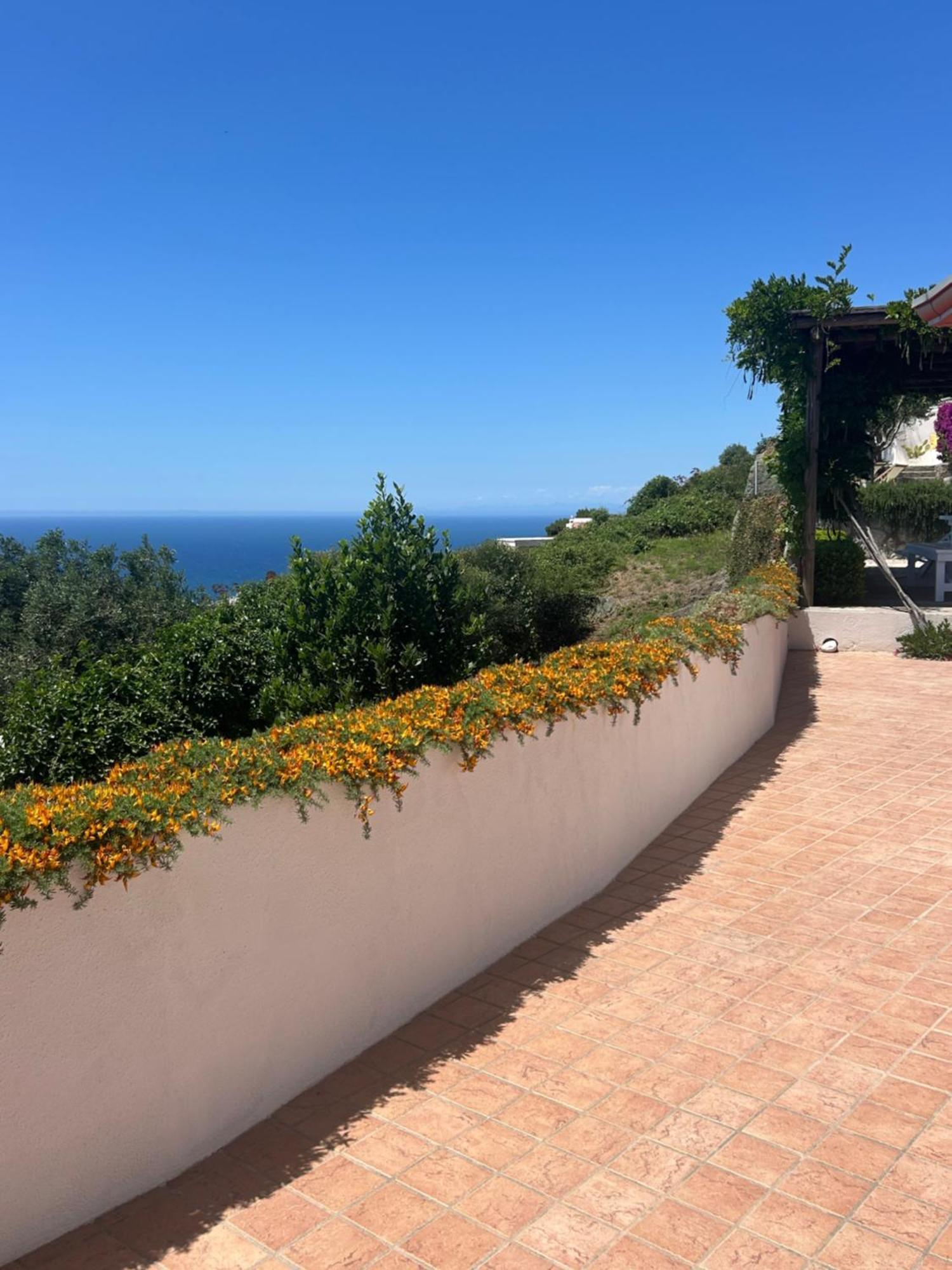 Villa Inarime Ischia Exterior foto
